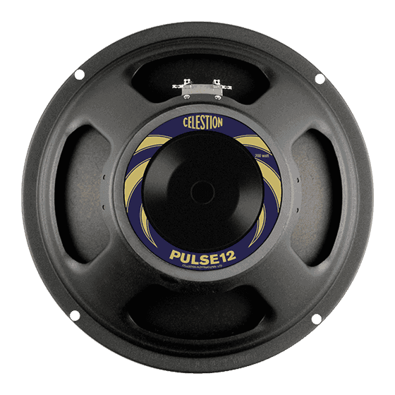 Haut-parleur Celestion ampli basse 31cm 200W 8 Ohms