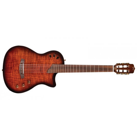 Guitare Classique Cordoba Stage avec housse