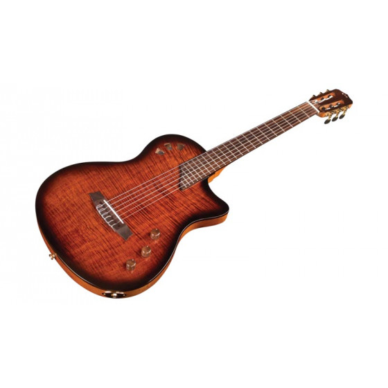 Guitare Classique Cordoba Stage avec housse