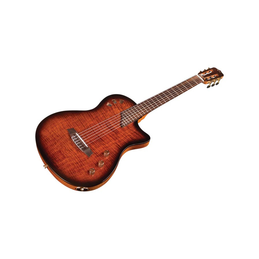 Guitare Classique Cordoba Stage avec housse
