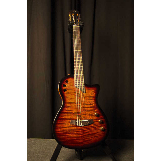 Guitare Classique Cordoba Stage avec housse