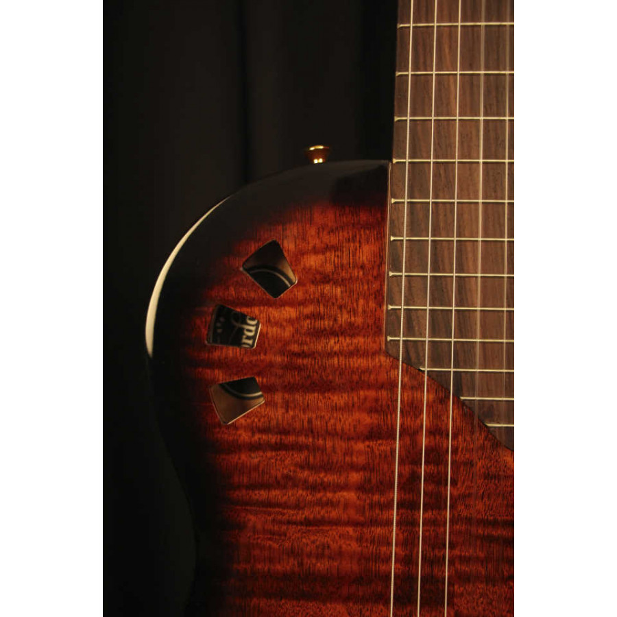 Guitare Classique Cordoba Stage avec housse
