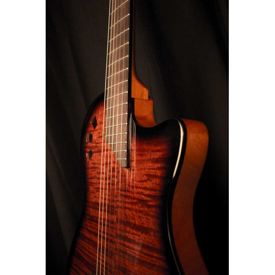 Guitare Classique Cordoba Stage avec housse