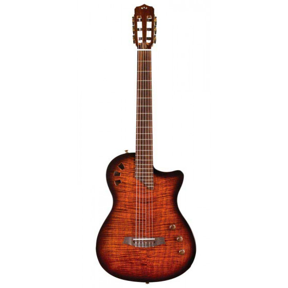 Guitare Classique Cordoba Stage avec housse