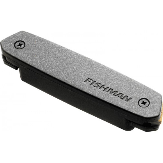 Micro de rosace Fishman Neo-D simple bobinage