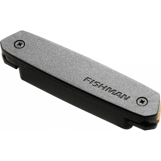 Micro de rosace Fishman Neo-D double bobinage