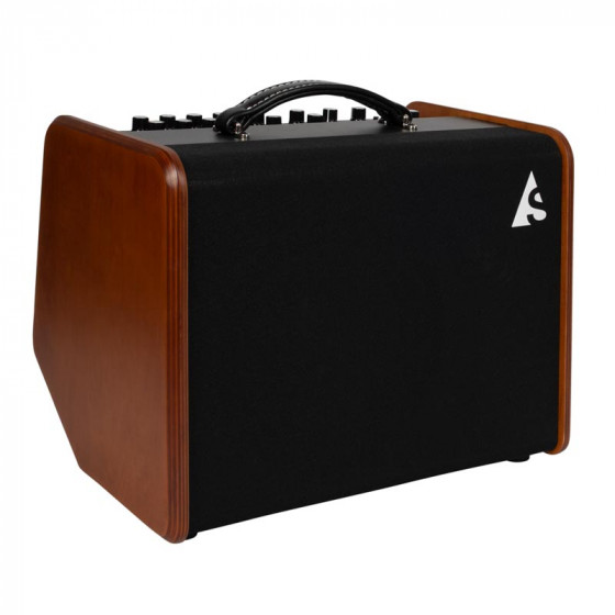 Ampli Godin Acoustic Solutions ASG-8 Wood