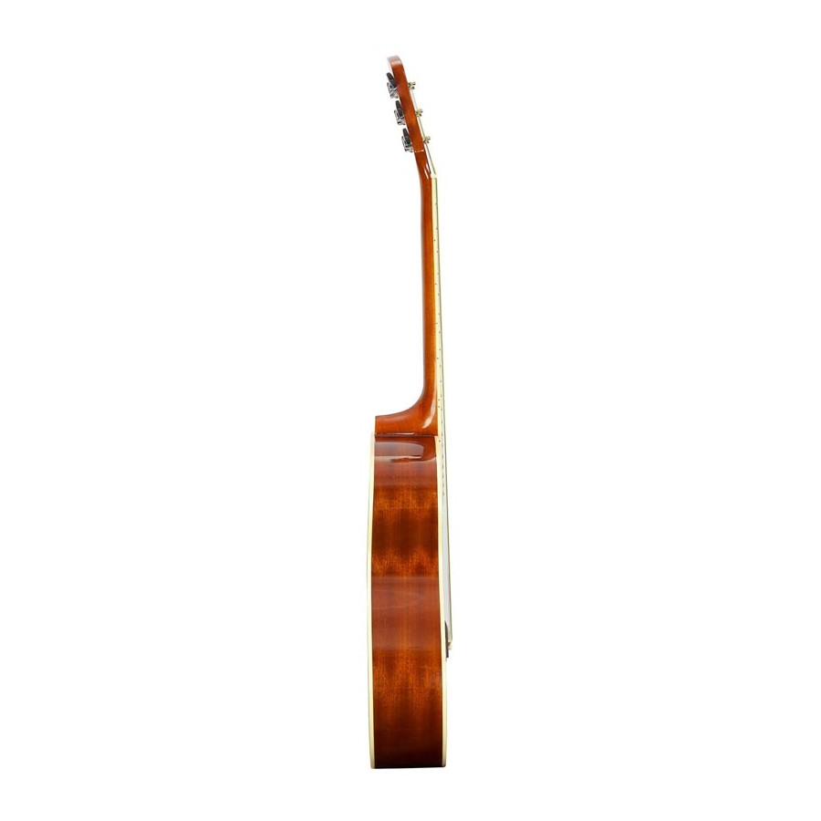 Guitare acoustique Brunswick Grand Auditorium BF200 Natural Gloss