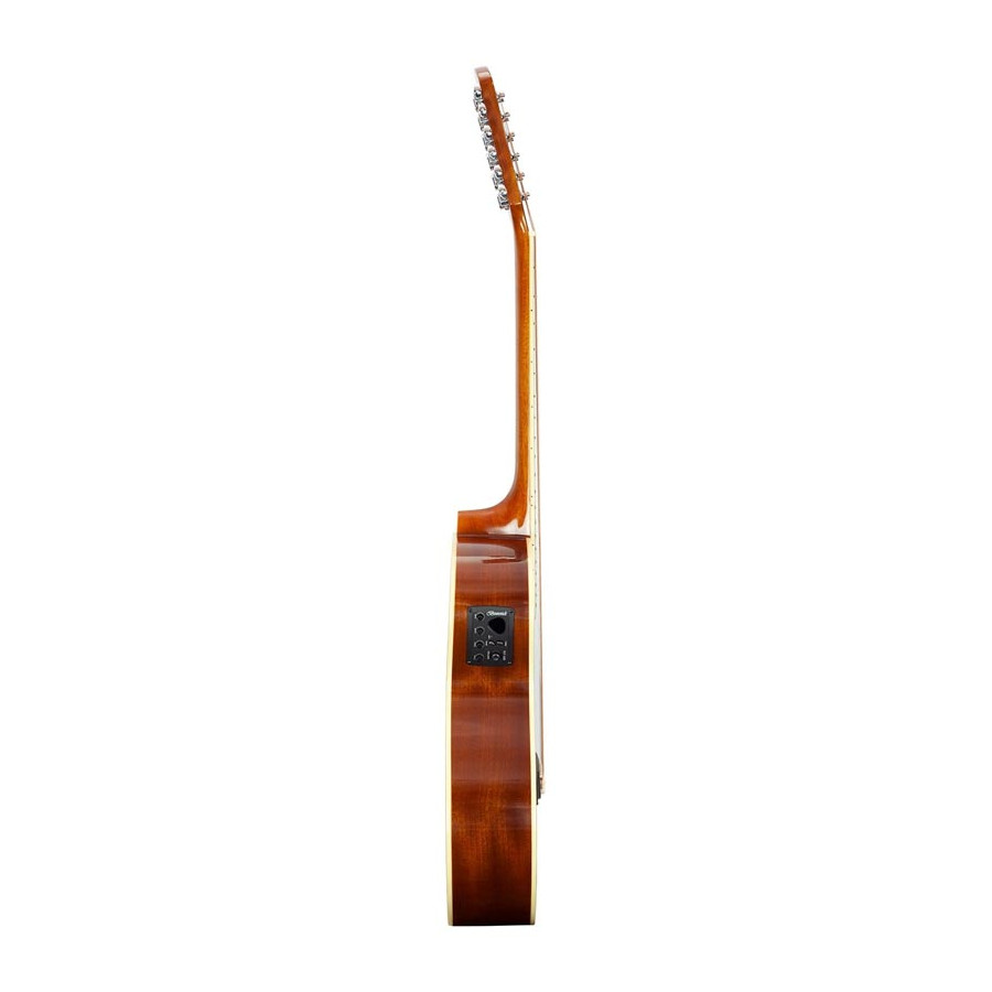 Brunswick Grand Auditorium 12 cordes Electro Natural BTK5012NA