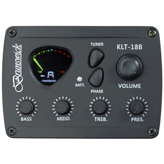 Brunswick Grand Auditorium 12 cordes Electro Natural BTK5012NA