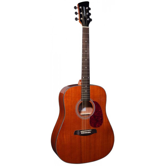 Guitare acoustique Brunswick Dreadnought Mahogany Gloss BD200M