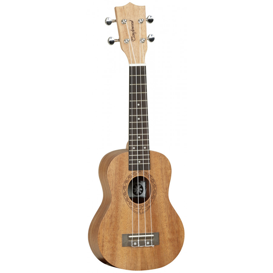 Ukulélé Soprano TANGLEWOOD TIARE TWT1 Ukulélé Soprano TANGLEWOOD TIARE TWT1