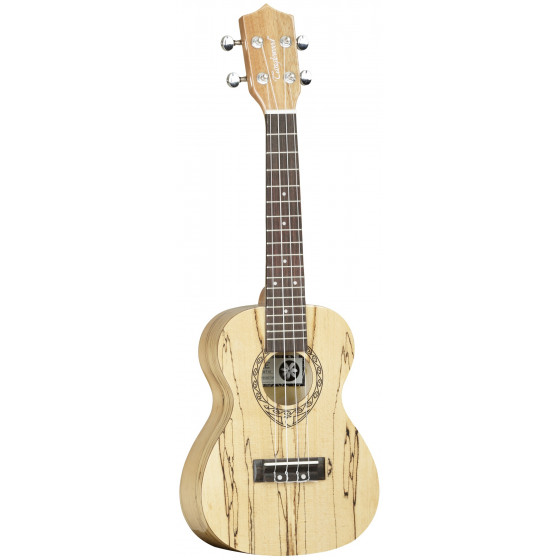 Ukulélé Concert TANGLEWOOD TIARE TWT10 Housse