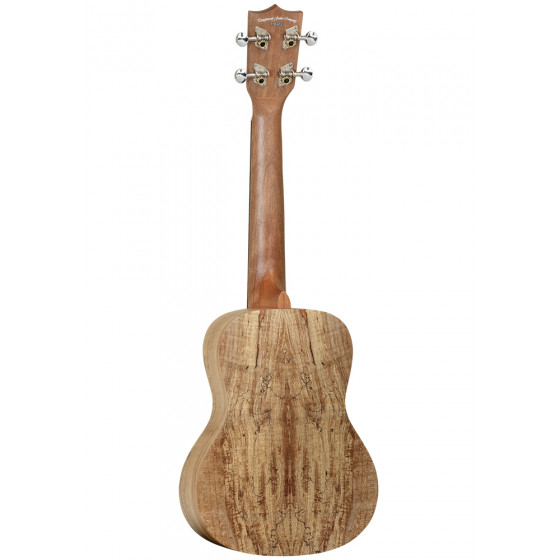Ukulélé Concert TANGLEWOOD TIARE TWT10 Housse