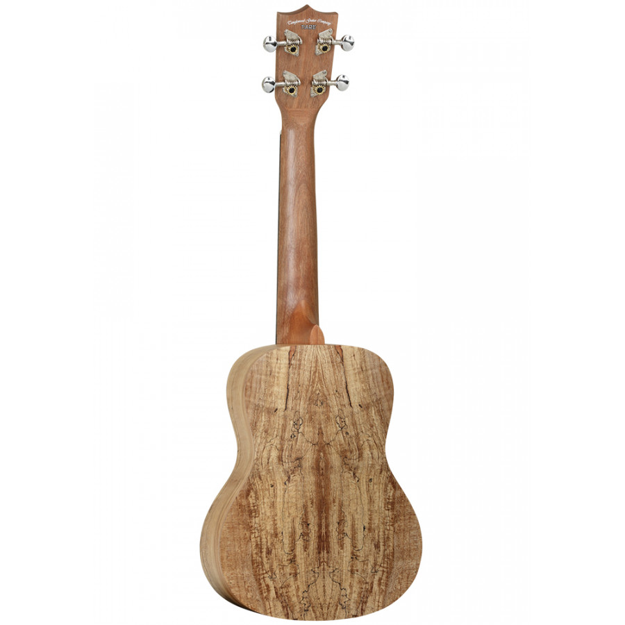 Ukulélé Concert TANGLEWOOD TIARE TWT10 Housse
