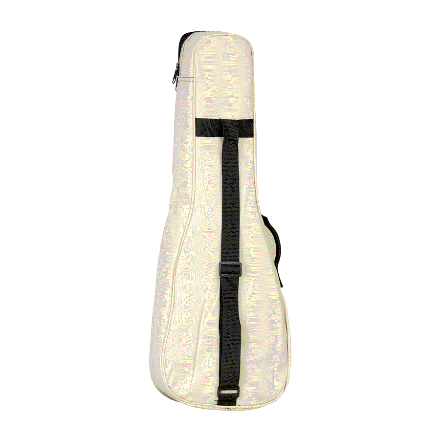 Ukulélé Concert amplifié TANGLEWOOD TIARE TWT 8 E avec housse
