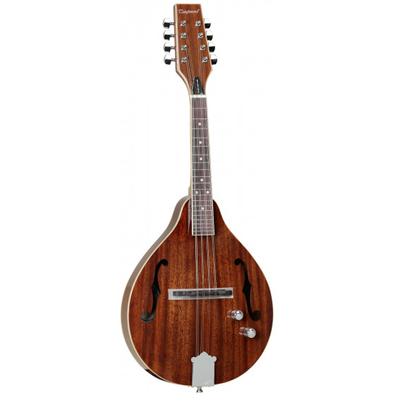 Mandoline amplifiée TANGLEWOOD TWMTMHSTE CN