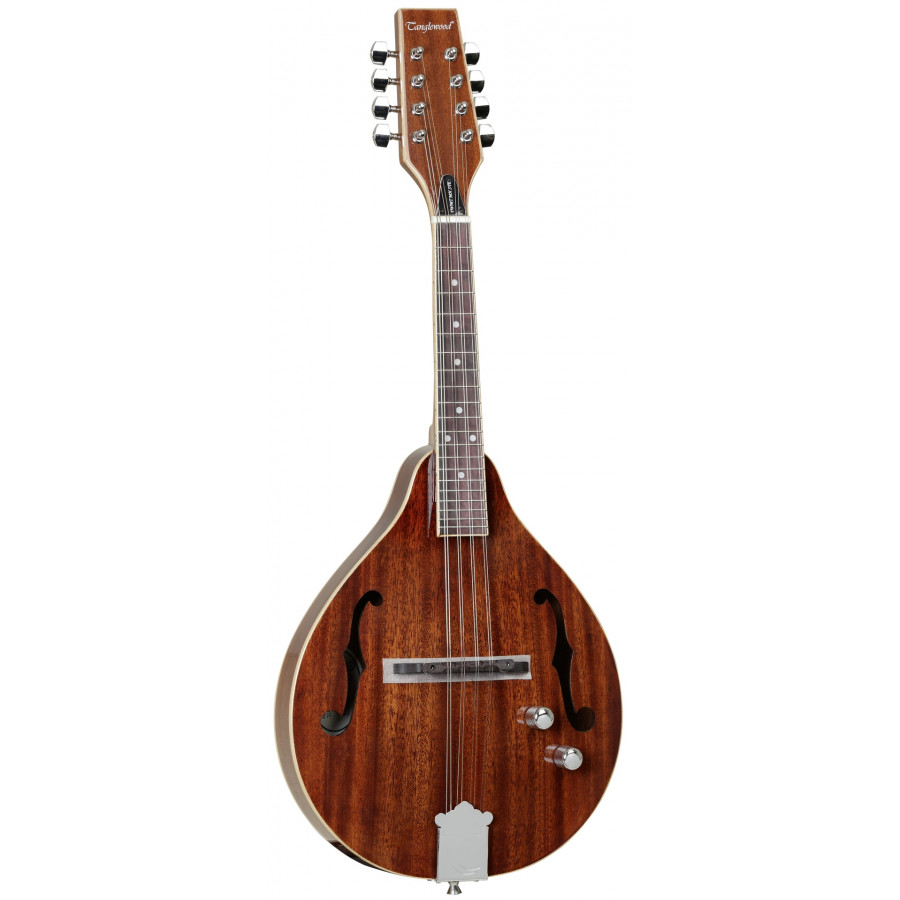 Mandoline amplifiée TANGLEWOOD TWMTMHSTE CN Mandoline amplifiée TANGLEWOOD TWMTMHSTE CN