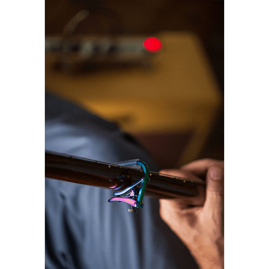 Capodastre Shubb acoustique électrique PAUA PEARL