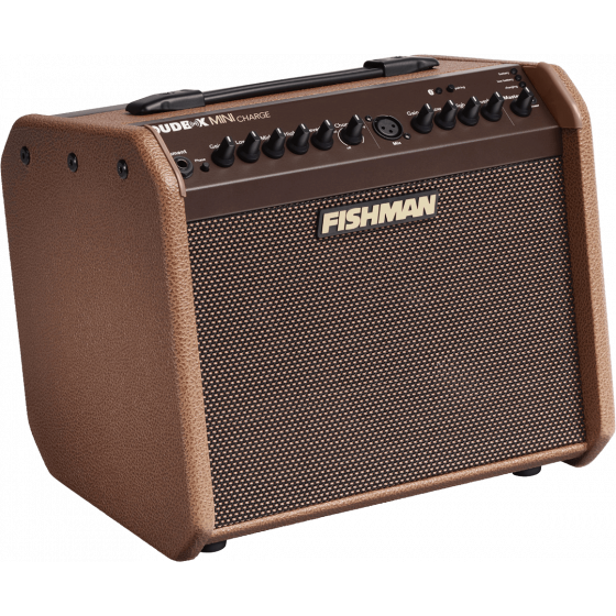 Amplificateurs Loudbox de Fishman 60W sur batterie MFI PRO-LBC-500