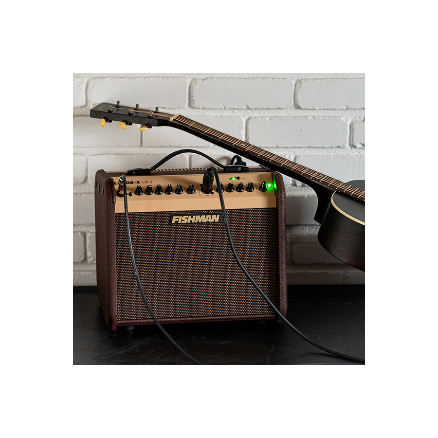 Loudbox Mini Bluetooth Fishman MFI PRO-LBT-500