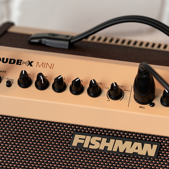 Loudbox Mini Bluetooth Fishman MFI PRO-LBT-500