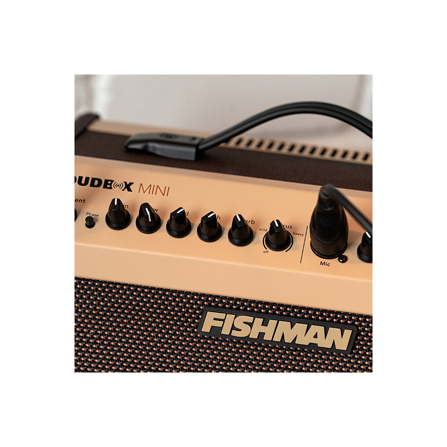 Loudbox Mini Bluetooth Fishman MFI PRO-LBT-500