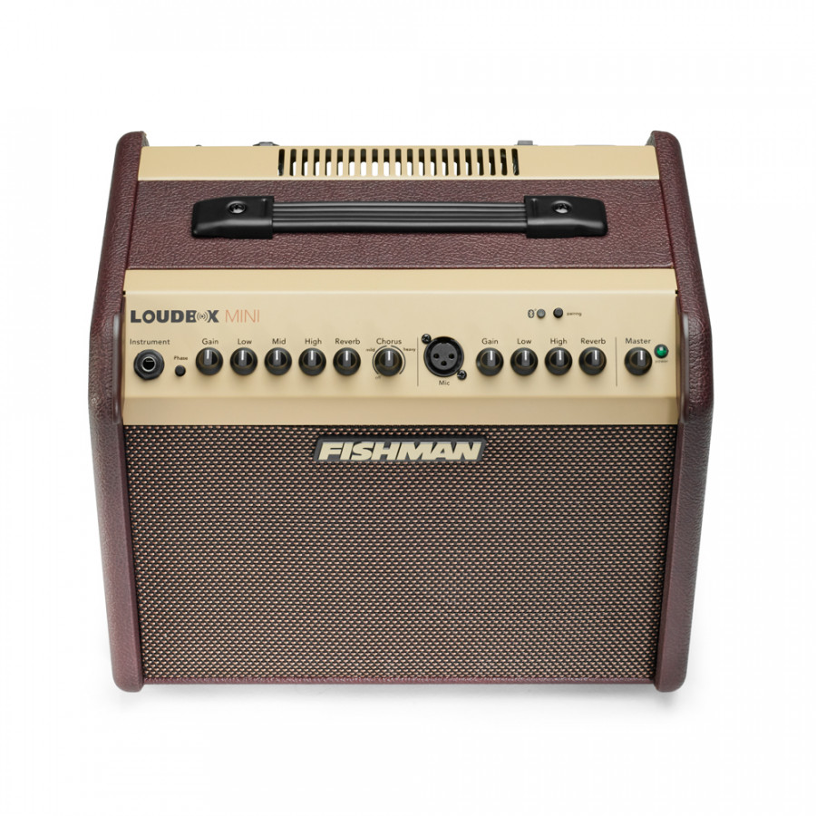 Loudbox Mini Bluetooth Fishman MFI PRO-LBT-500