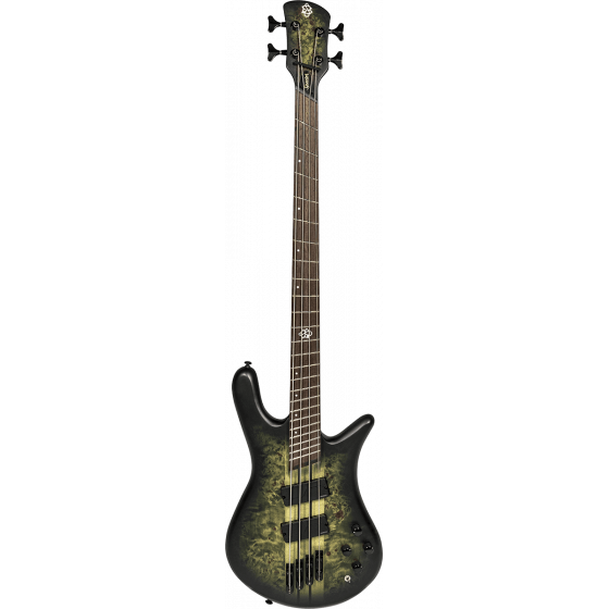 Basse NS Dimension 4 cordes Haunted Moss Matte - Frettage en éventail NSDIM4-HAUNT SPECTOR