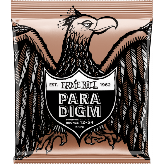 Cordes Guitare Ernie Ball Paradigm phosphore bronze medium light 12-54