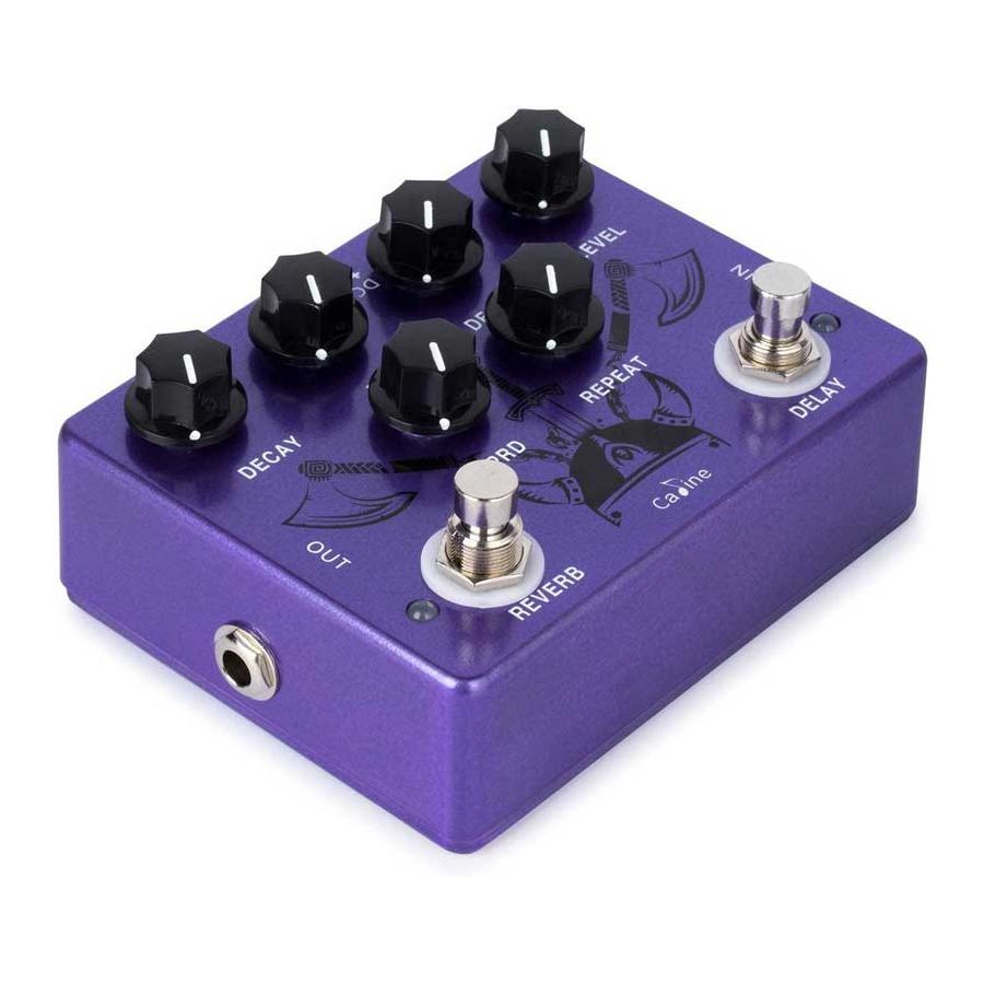 Pédale Reverb & Delay Ragnarok Caline CP-80